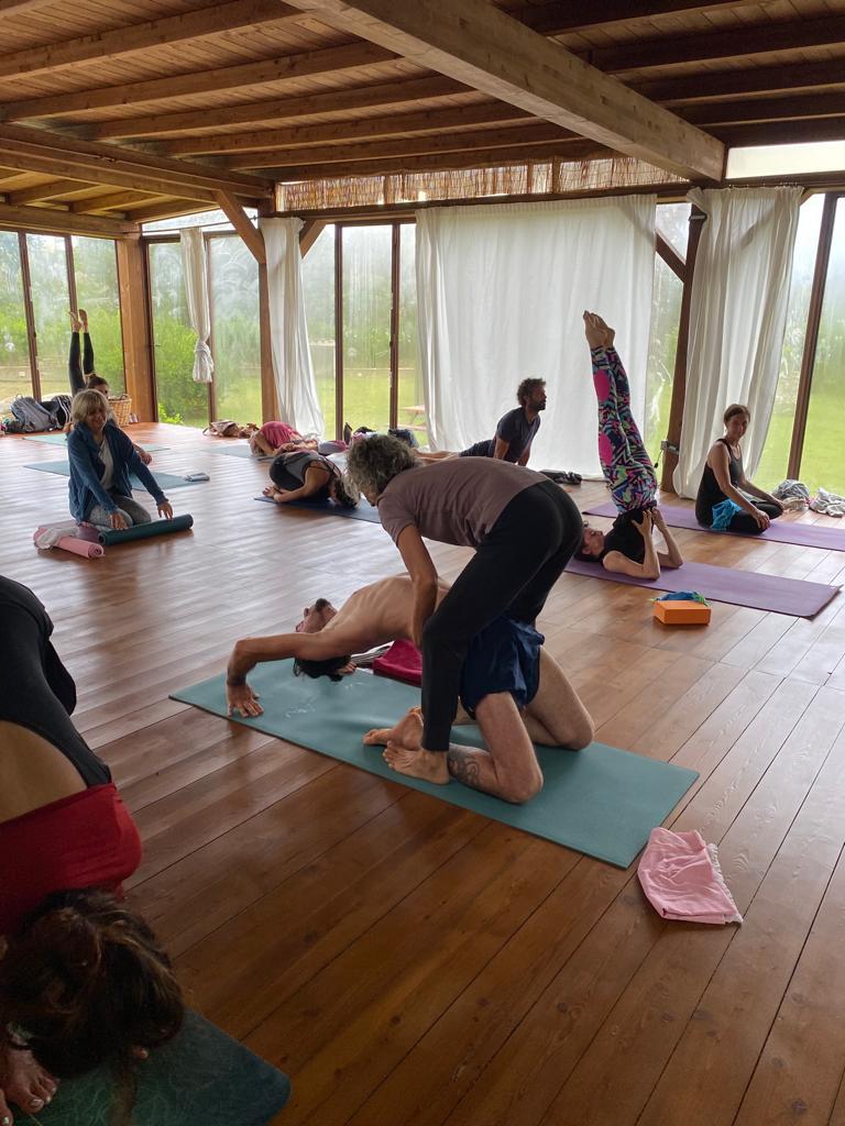 susanna finocchi ashtanga yoga